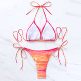 Tropical Print Tie String Cheeky Slide Triangle Brazilian Two Piece Bikini Swimsuit