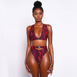 High Waist Snake-Print Triangle Thong Brazilian Two Piece Bikini Swimsuit